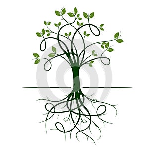 Green Tree with Roots. Vector Illustration.