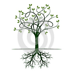 Green Tree with Roots. Vector Illustration.