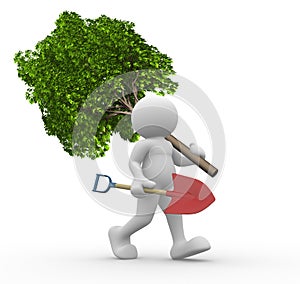 Green tree and shovel