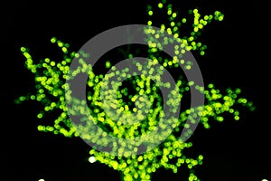 Green tree silhouette made of glowing blurry circles from New Year`s bulbs