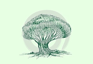 Green tree sketch stylized silhouette. Pattern isolated light green background. Ecology cover.