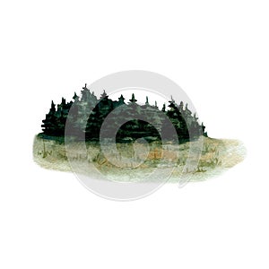 Green tree tops, grass strip and fir tree backdrop. Pines forest clearing. Watercolor illustration isolated on white background.