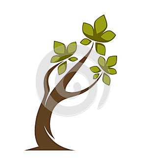 Green tree and tree leaf icon or logo template.