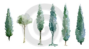 Green tree watercolor illustration set. Natural cypress trees. Hand drawn leafy and evergreen tree element collection