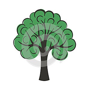Green tree on white background in the vector