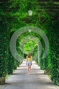 Green trees alley and young woman in blooming park in summer