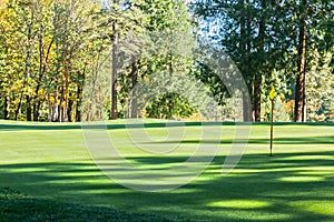 Green Trees Around a Golf Course