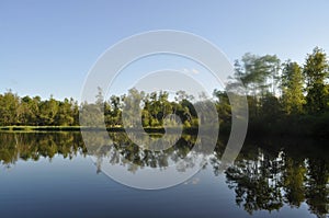 Green Trees and Blue Sky Reflected in a Calm Lake