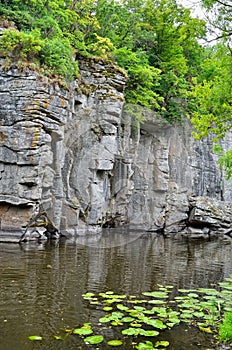 Green trees in a canyon against a cloudy sky background