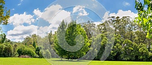 Green trees and field in Australian landscape panoramic vista