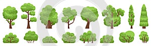 Green trees. Forest or garden bush and tree, woody foliage green branches. Nature forest and park green trees vector