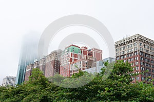 Green Trees in front of Old and New Buildings on Michigan Avenue covered in Fog in Chicago