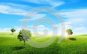 Green trees with grass natural meadow field and little hill with white clouds and blue sky in summer seasonal.