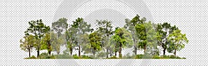 Green trees isolated on transparent background forest and summer foliage for both print and web