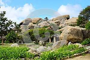 Green trees and large stones at Ayo Rock Formations in Aruba