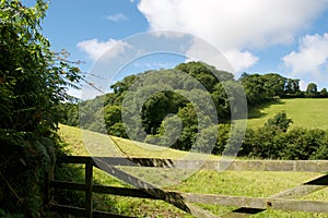 Green trees, lush fields, rolling hills viewed over a wooden five bar gate