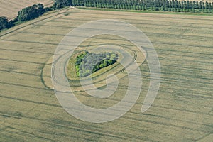 Green trees in the middle of a smooth crop field in the shape of a loveheart sourrounded by a circular pattern photo