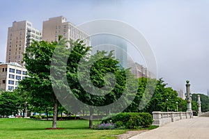 Green Trees next to a Path in Grant Park in Chicago with a view of Buildings on Michigan Avenue on a Foggy Day