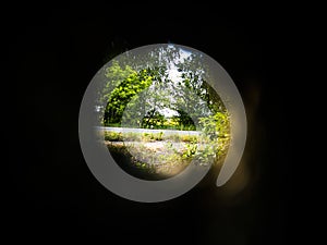 Green trees through a round hole in the wall