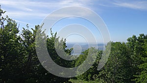 Green trees and the sea in the background