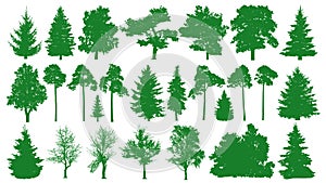 Green trees set. White background. Silhouette of a coniferous forest. Fir-tree, fir, pine, birch, oak, bush, branch.