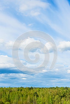 Green treetops and beautiful cloudy blue sky.