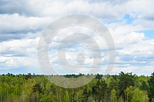 Green treetops and beautiful cloudy blue sky.