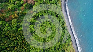 Green tropic coastline aerial view. Stunning tranquil nature landscape at shore.