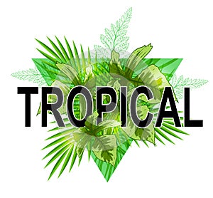 Green tropical banner