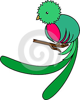Green tropical bird Resplendent quetzal sitting on branch on white background