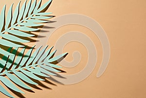 Green tropical leafs