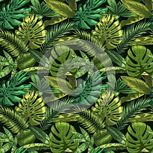 Green tropical leaves seamless pattern. Color monstera and tropic palm leafs, botanical garden floral vector