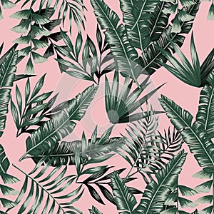 Green tropical leaves with shadow seamless pink background