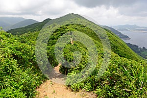 Green Tropical mountains and hiking route on the Dragon's Back trail near Hong Kong