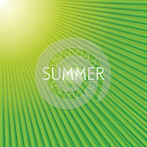 Green tropical palm leaf surface texture as background photo