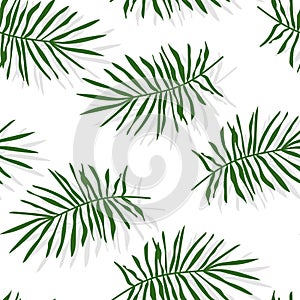 Green tropical palm leaves seamless pattern vector