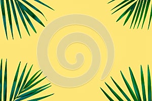 Green tropical palm leaves on yellow background. Minimal nature. Summer Styled. Creative flat lay image with copy space