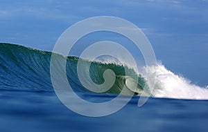 Green tropical surfing wave