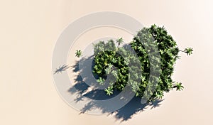 Green tropical trees forming heart shape on the beach