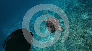 Green tropical turtle swimming with girl in clear blue sea. Beautiful underwater swimming freediver and turtle in