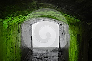 Green Tunnel