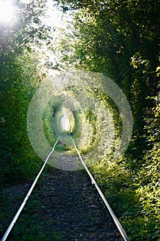 Secret green tunnel on the railway The Arch of Love