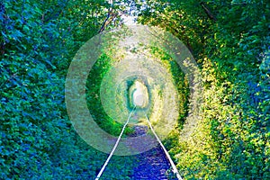 Secret green tunnel on the railway The Arch of Love