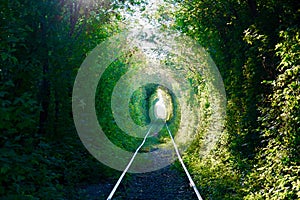 Secret green tunnel on the railway The Arch of Love