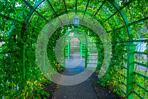 Green tunnel at the upper garden in Estonian capital Tallin