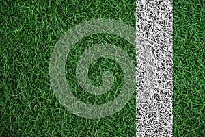 Green turf grass texture with white line, in soccer field photo