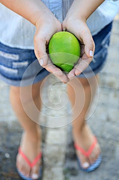 green turkish lemons in hands close-up