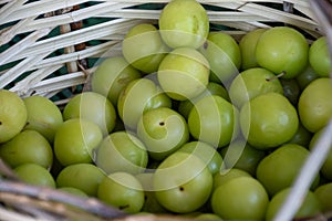 Green turkish plum can erik in basket