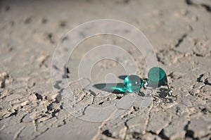Green, turquois glass earrings, at the ground photo