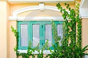 Green turquoise window and yellow wall in chino-portuguese style with green ivy